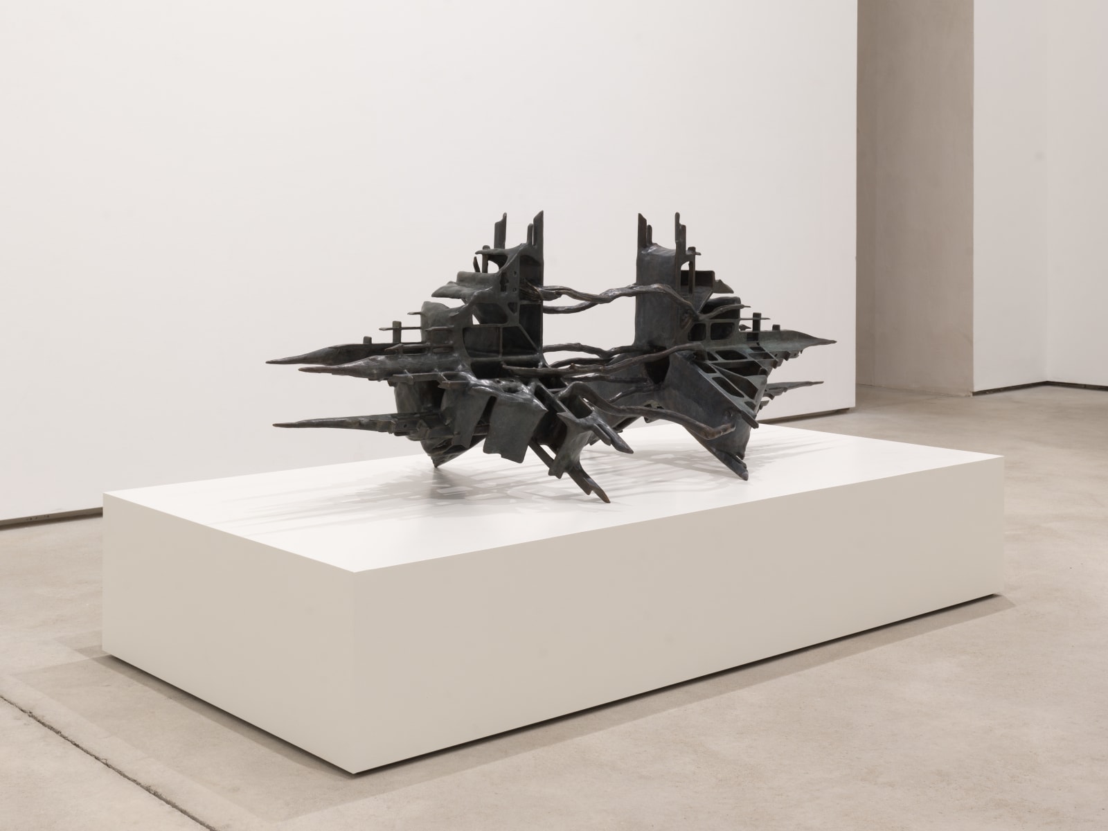 Leelee Chan 陳麗同, Wood Wide Web (Unearth) 菌根网络, 2025