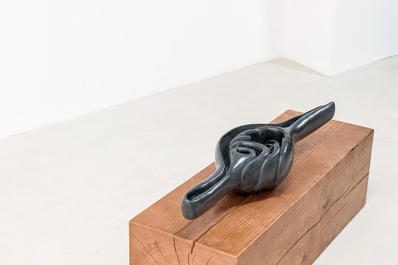 Leelee Chan 陳麗同, Shapeshifter (Volva) 变型体（梭螺）, 2025