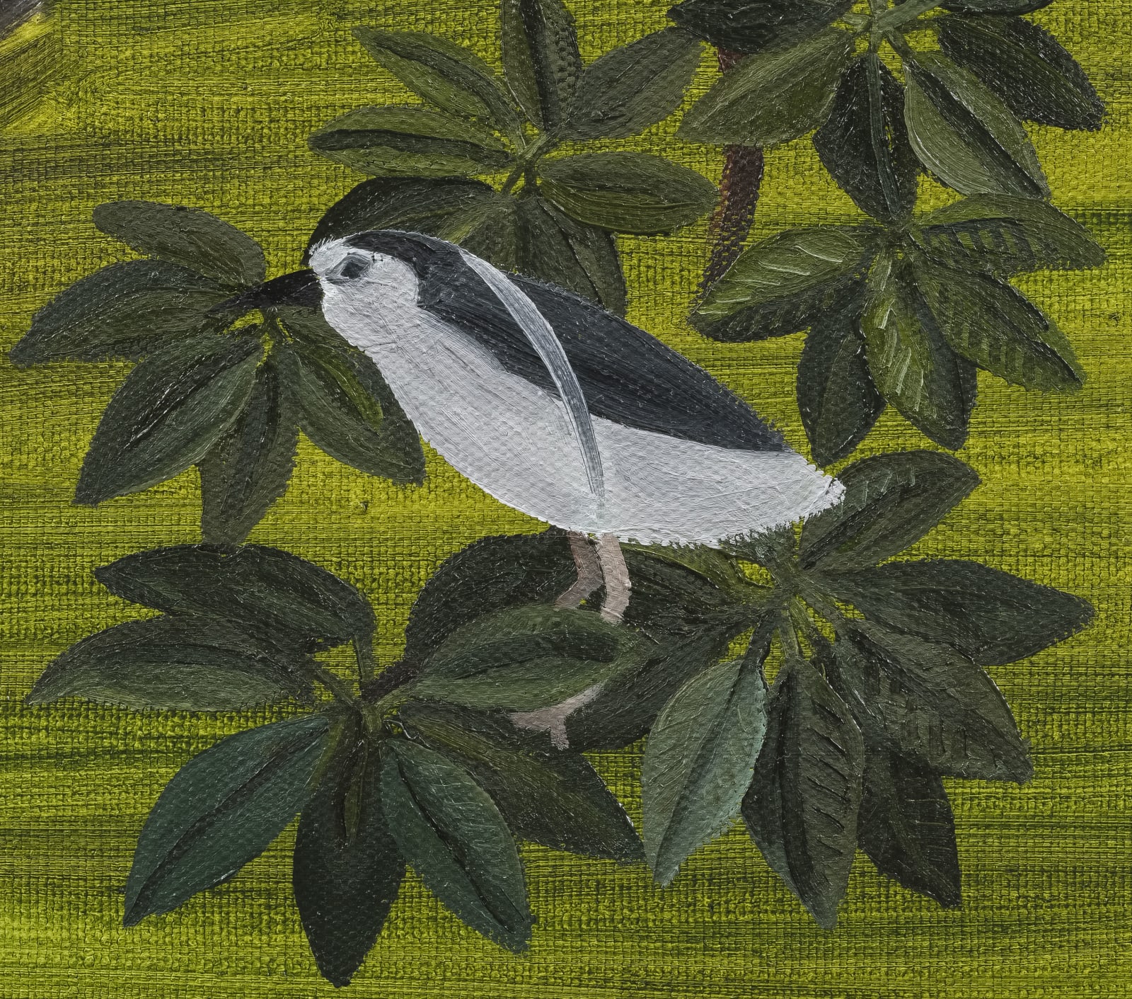 Huang Hai-Hsin 黄海欣, Daan Bird 1, 2020