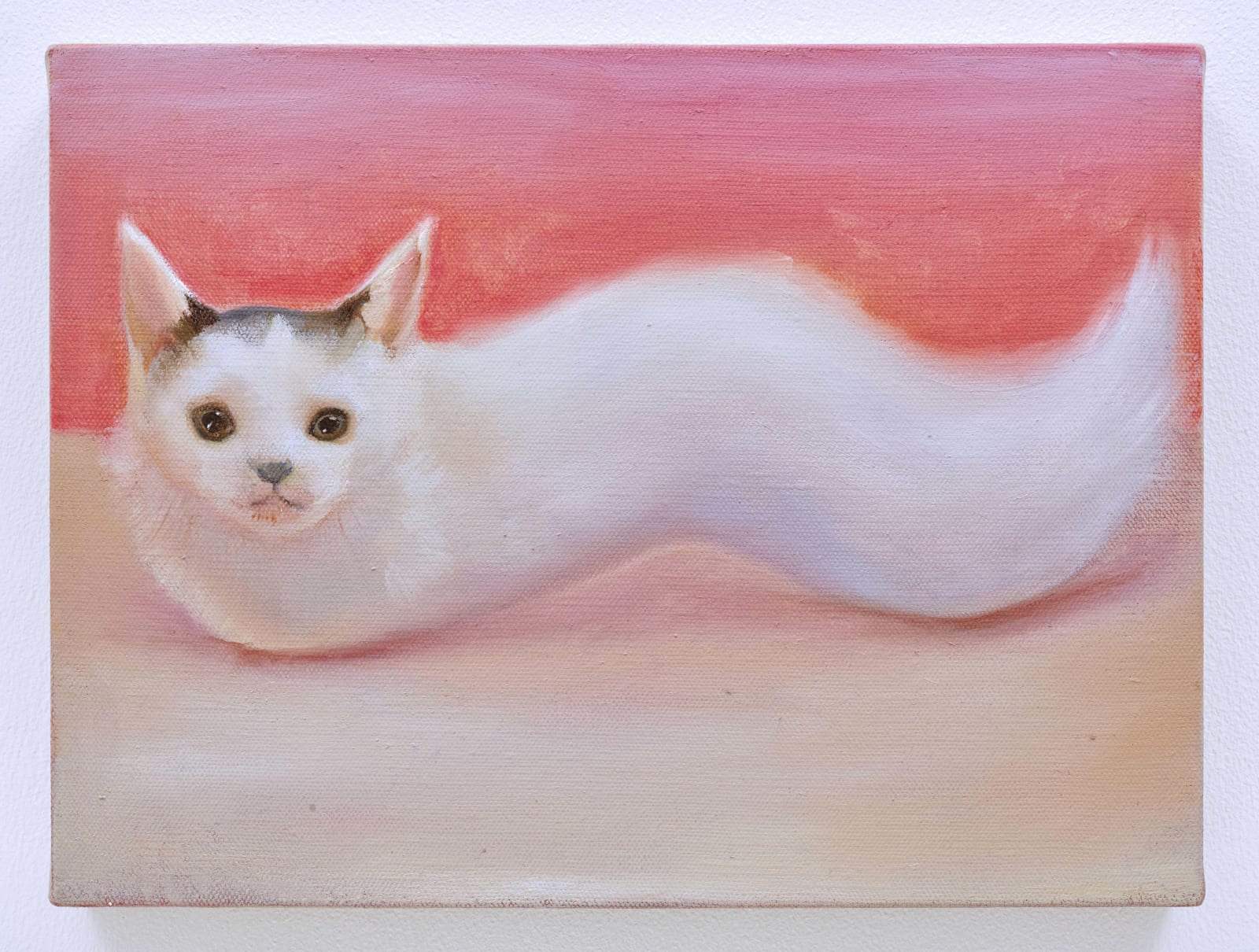 Tao Siqi 陶斯祺, My Cat 我的猫, 2021