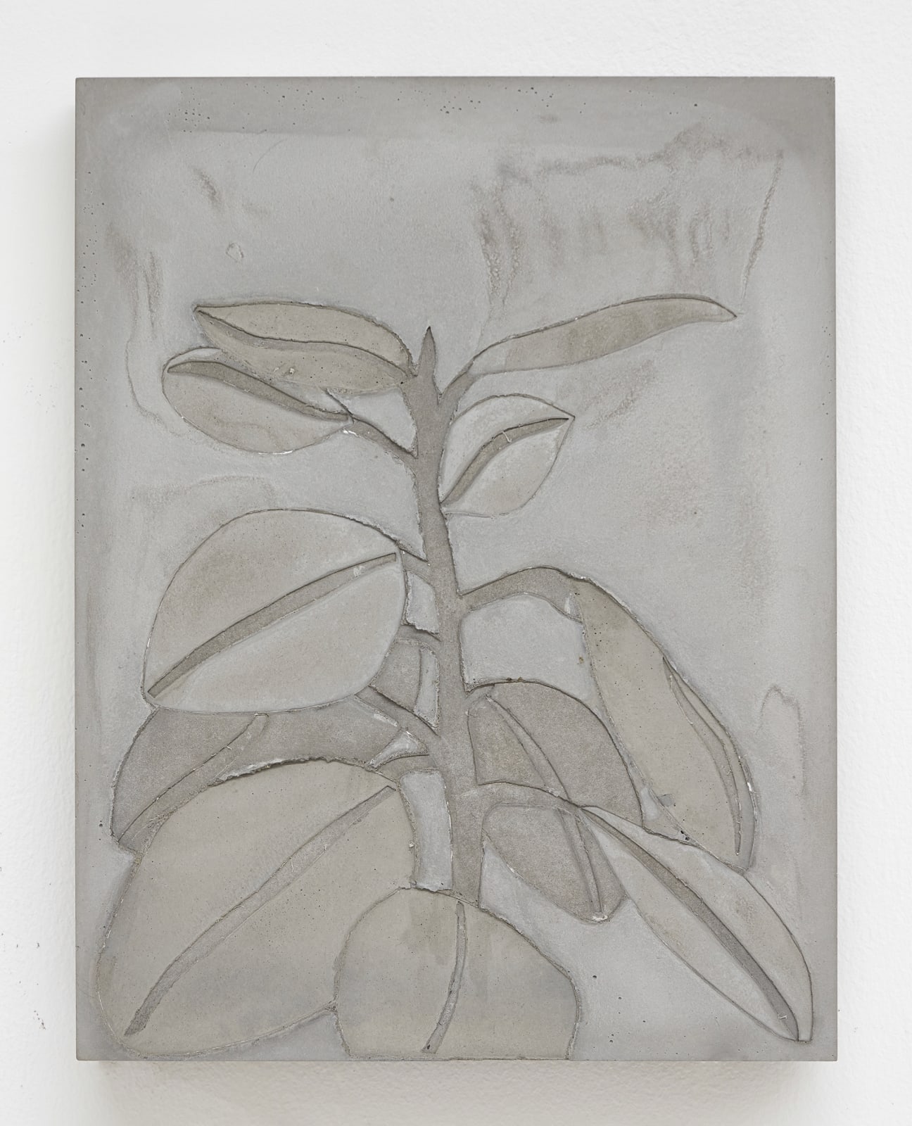 Alessandro Teoldi 亚历山德罗·泰尔迪, Untitled (plant) 无题（植物）, 2021
