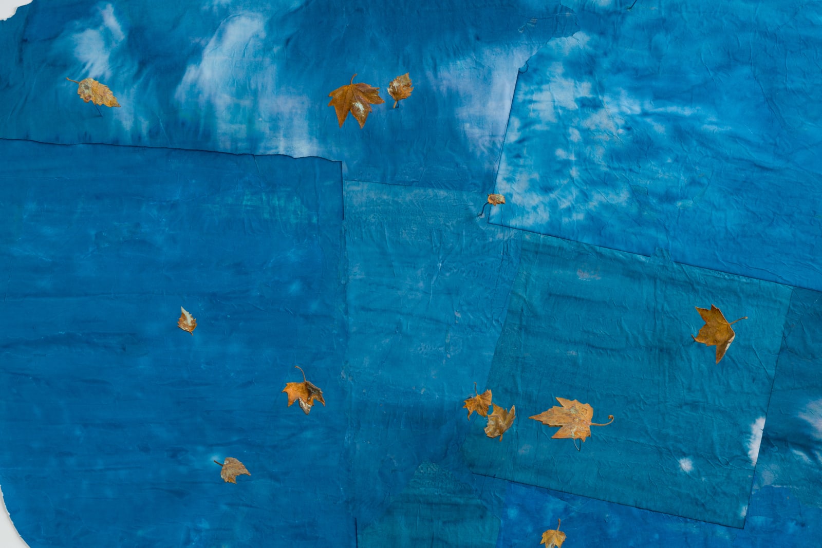Maya Kramer 玛雅·克莱默, Twilight Ramblers 暮光漫步, 2017