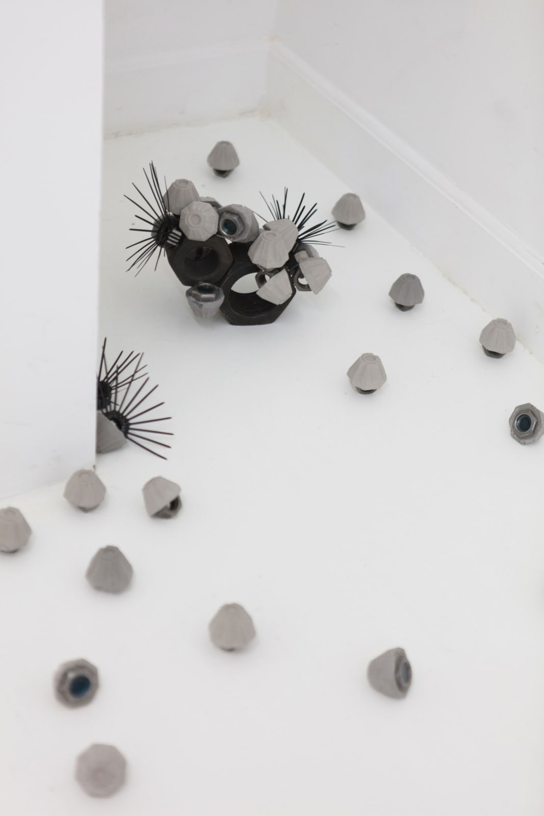 Leelee Chan 陳麗同, Barnacles 藤壶, 2019
