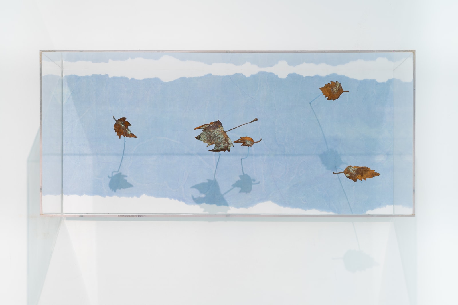 Maya Kramer 玛雅·克莱默, Empire Violet 紫罗兰帝国, 2018