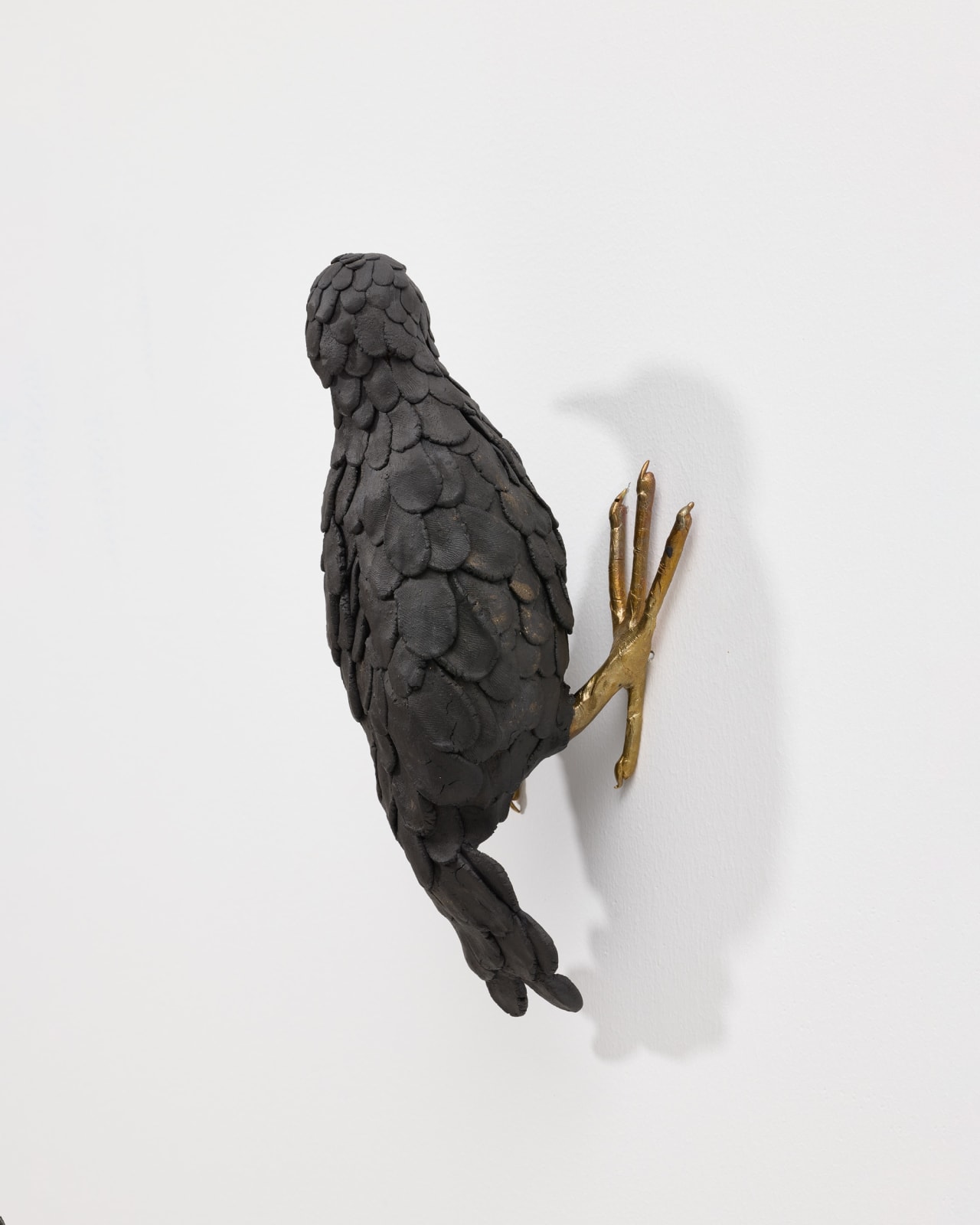 Elizabeth Jaeger 伊丽莎白·耶格, Bird 鸟, 2024