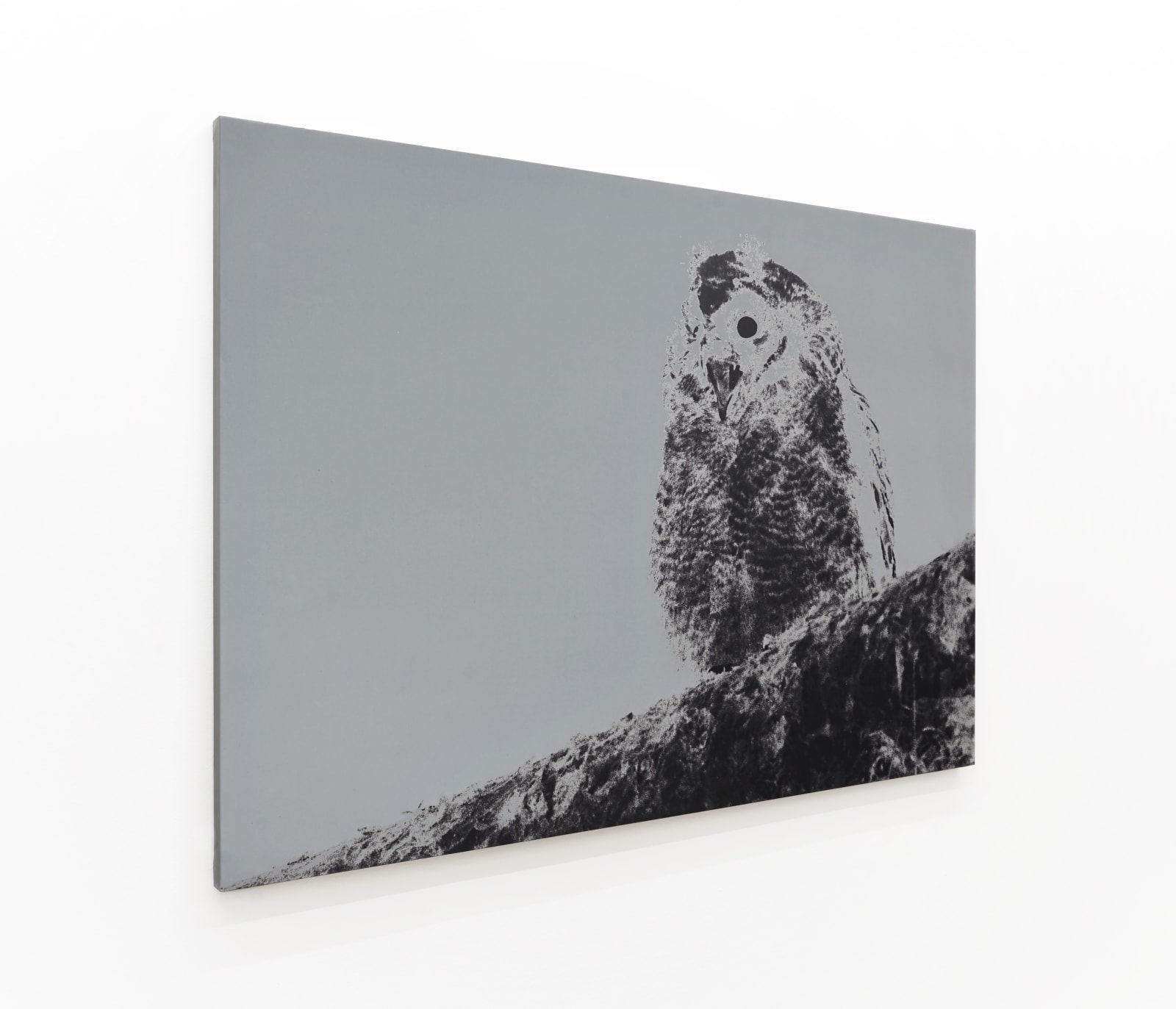 Luca Campestri 卢卡·坎佩斯特里, The dreamer slept but did not dream 梦者沉睡却未曾做梦, 2024