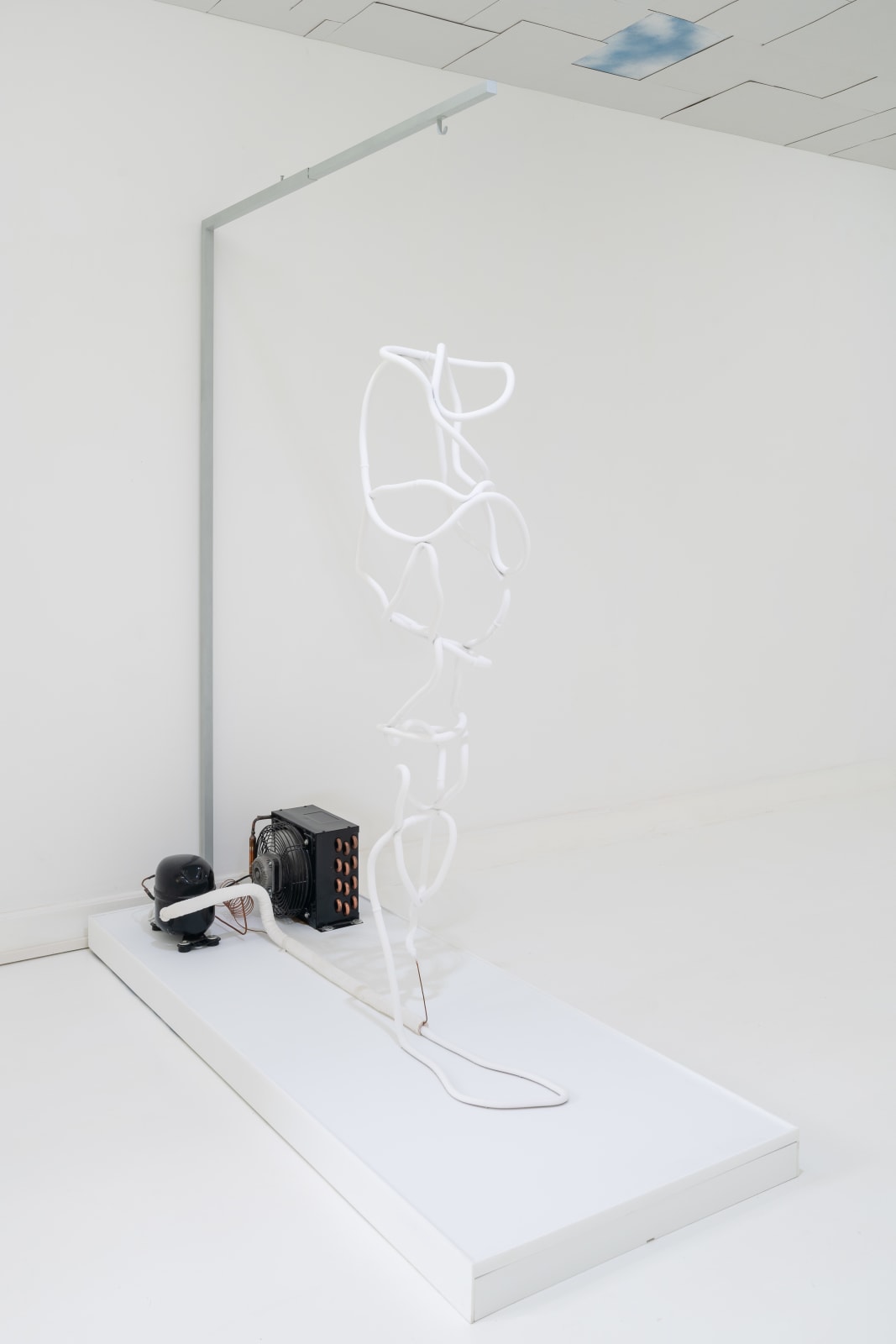 Maya Kramer 玛雅·克莱默, Preserved II 藏蓄 II, 2018