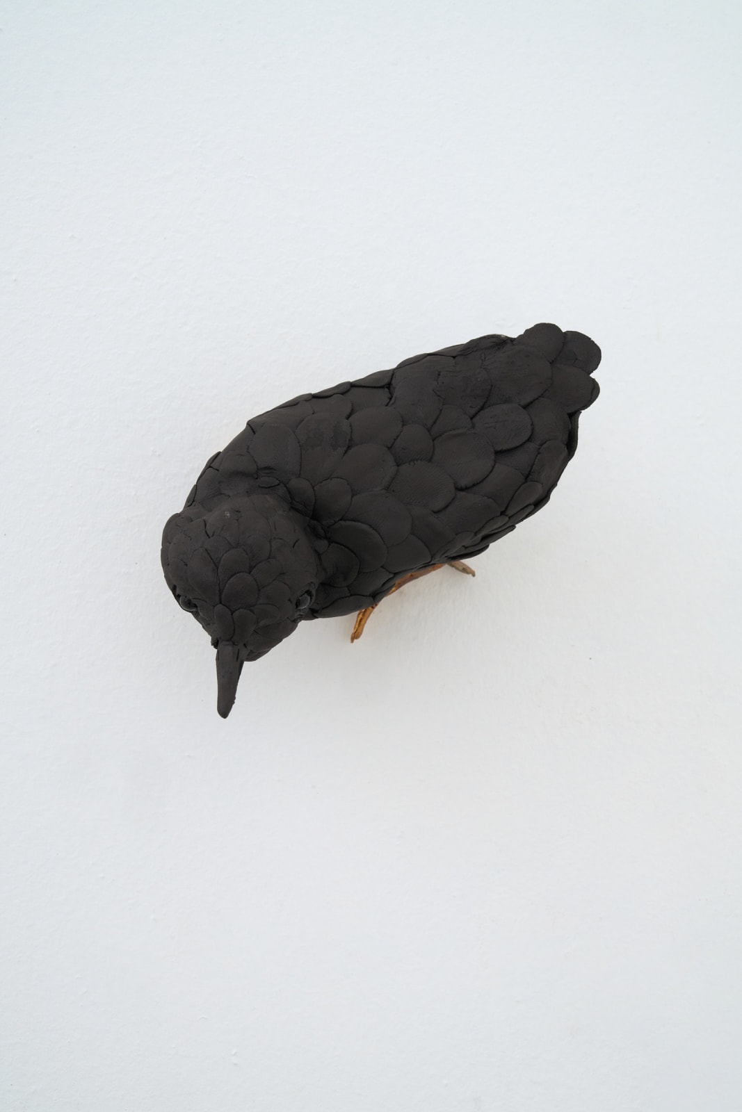 Elizabeth Jaeger 伊丽莎白·耶格, Bird 鸟, 2023