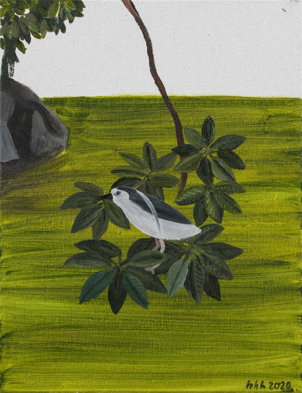 Huang Hai-Hsin 黄海欣, Daan Bird 1, 2020
