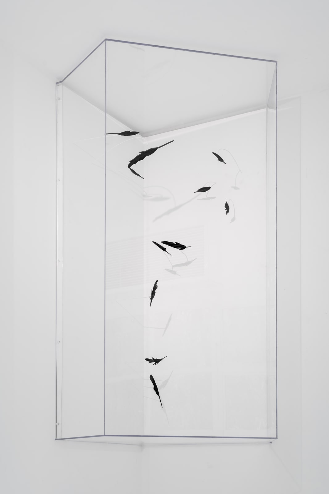 Maya Kramer 玛雅·克莱默, Slow Swirl 微旋, 2017
