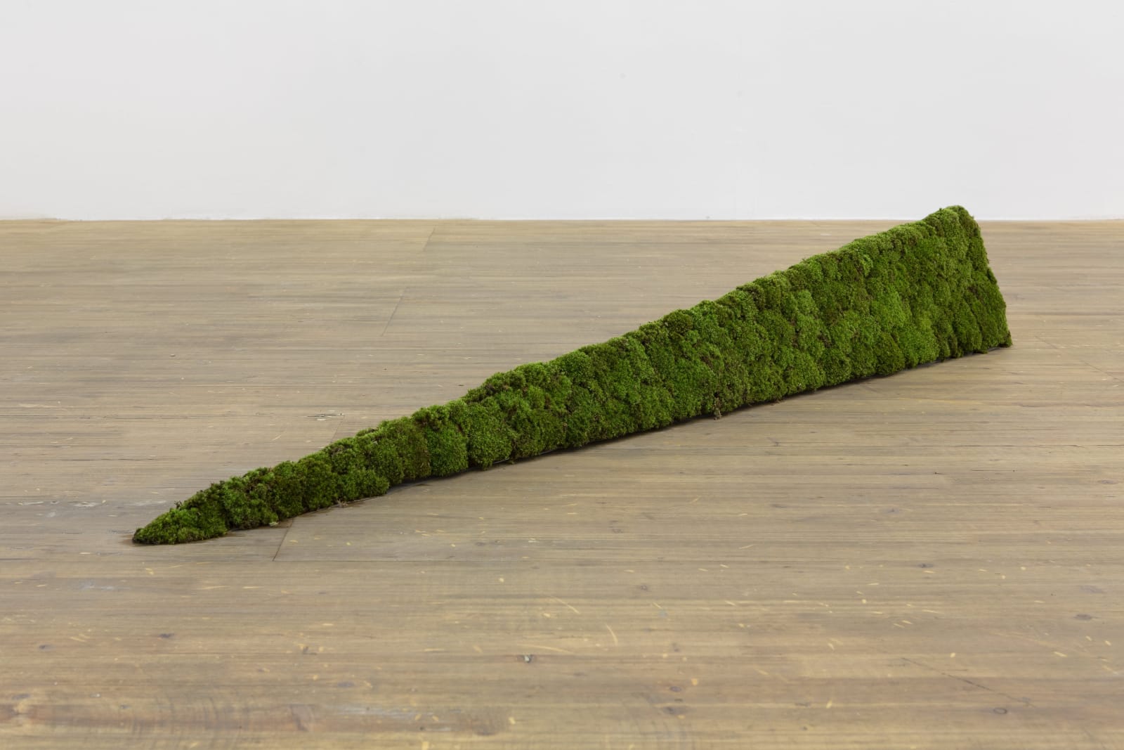 Alice Wang 王凝慧, Untitled 无题, 2017
