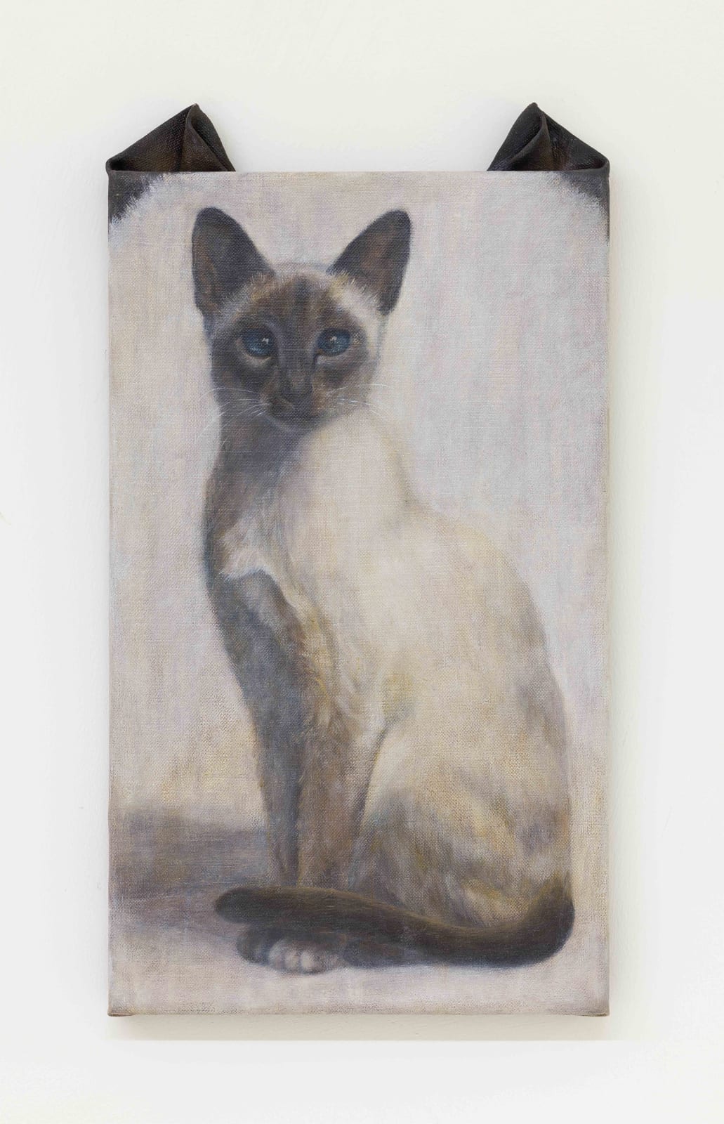 Ryosuke Kumakura 熊倉良介, Cat 猫, 2019