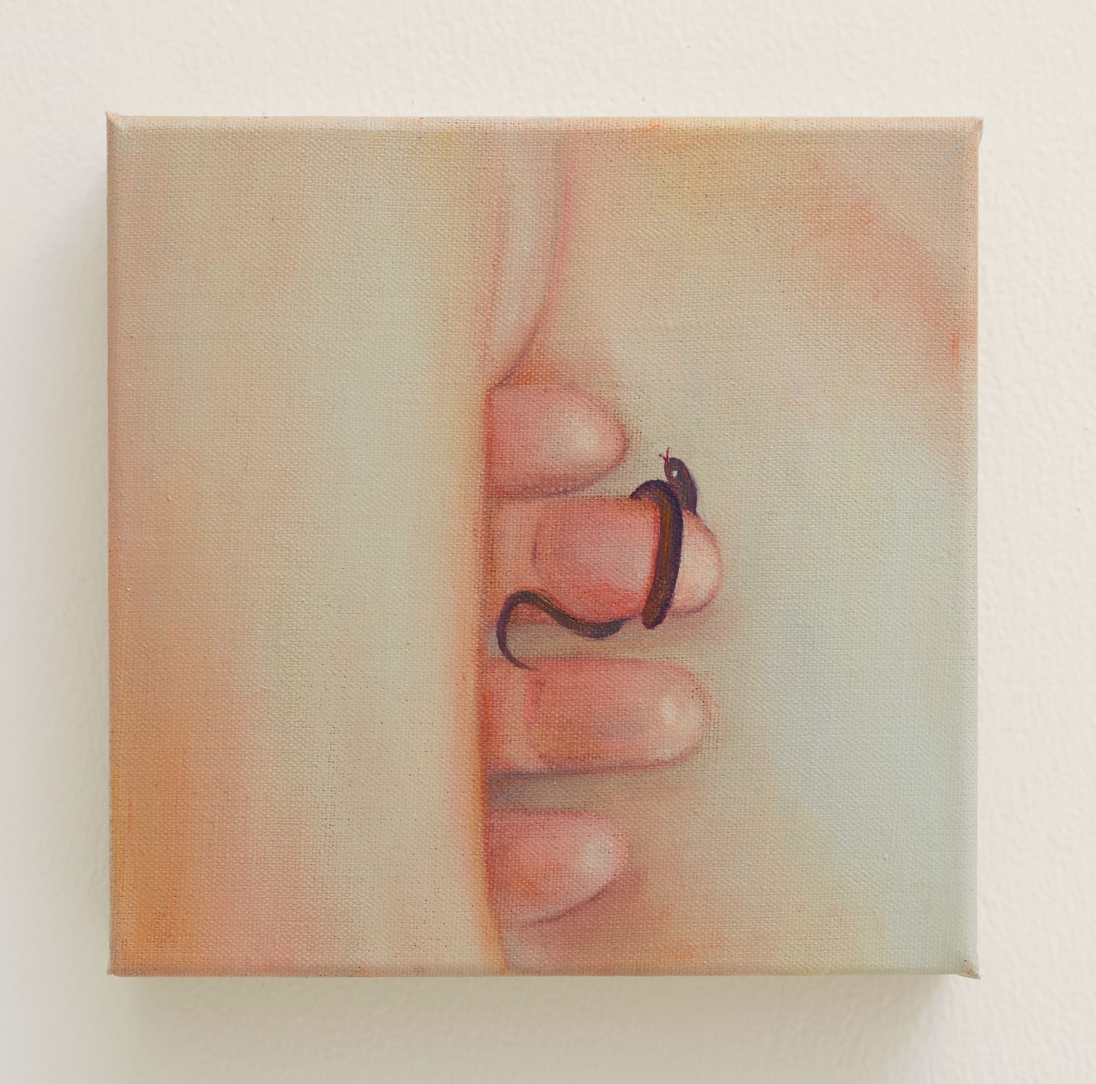 Tao Siqi 陶斯祺, Snake Ring, 2019