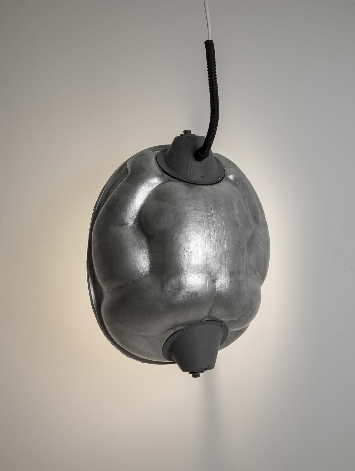 Tian Jianxin 田建新, Beetle 甲虫, 2023
