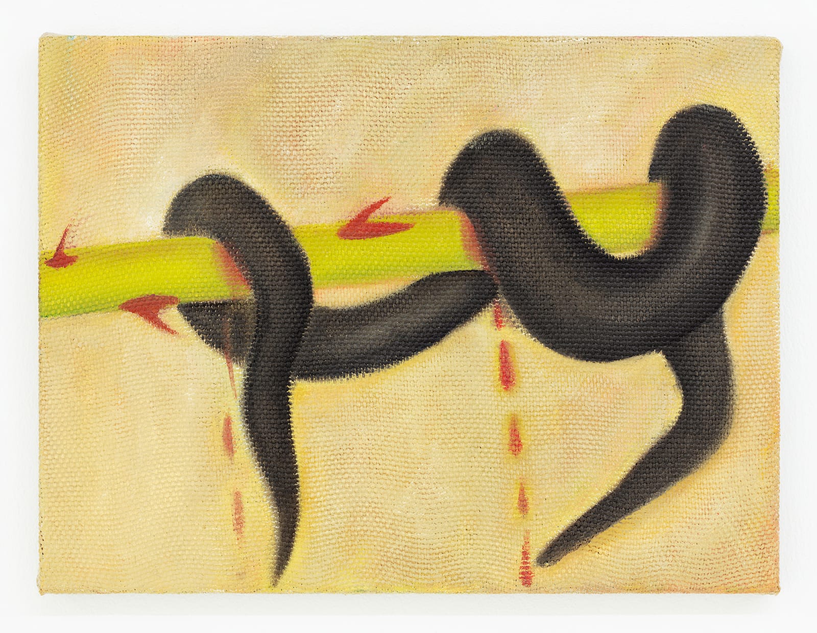 Tao Siqi 陶斯祺, Thorn 倒刺, 2019