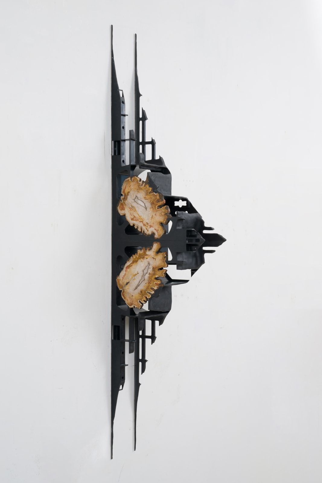 Leelee Chan 陳麗同, Moth 蛾, 2023
