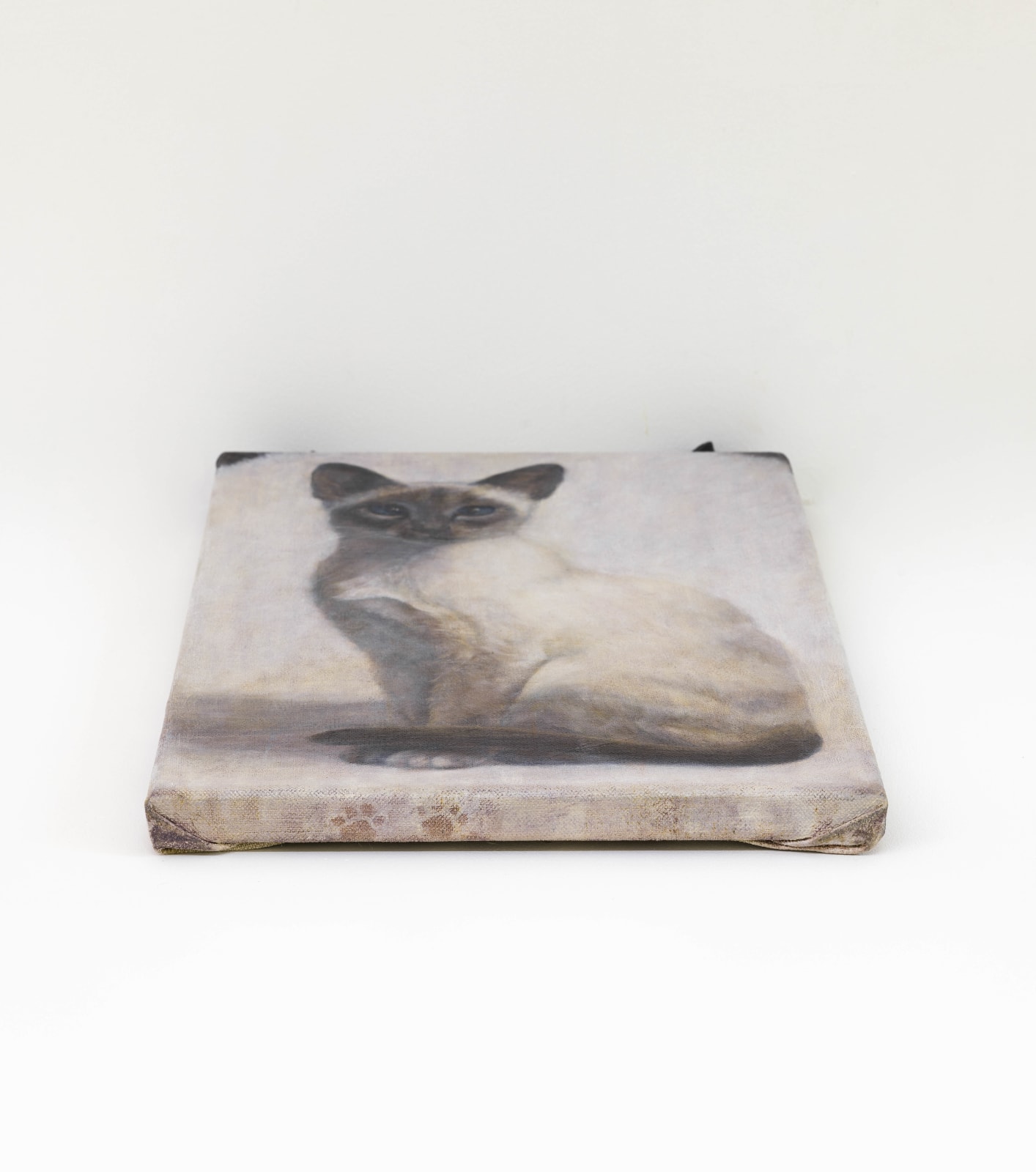 Ryosuke Kumakura 熊倉良介, Cat 猫, 2019
