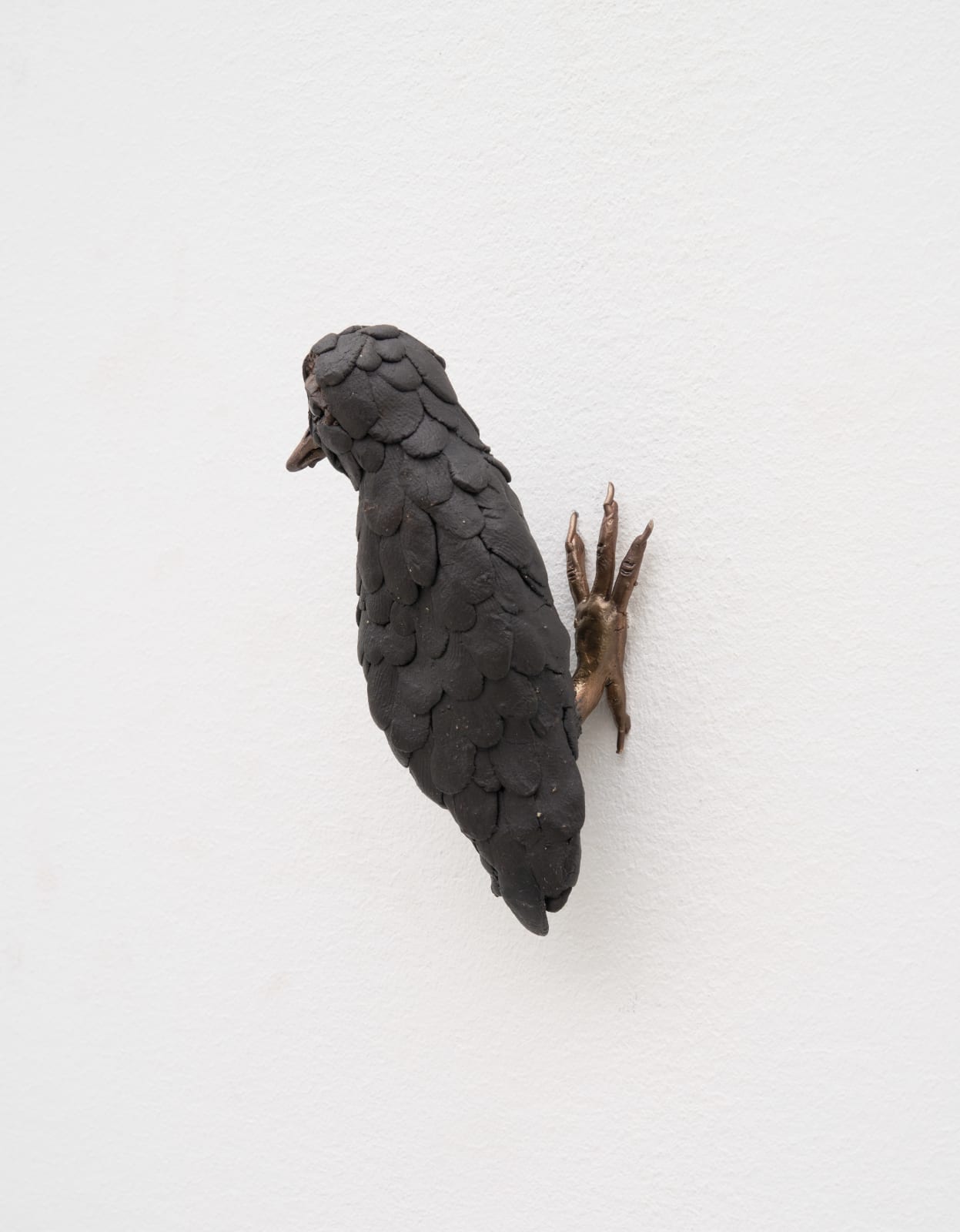 Elizabeth Jaeger 伊丽莎白·耶格, Bird 鸟, 2024