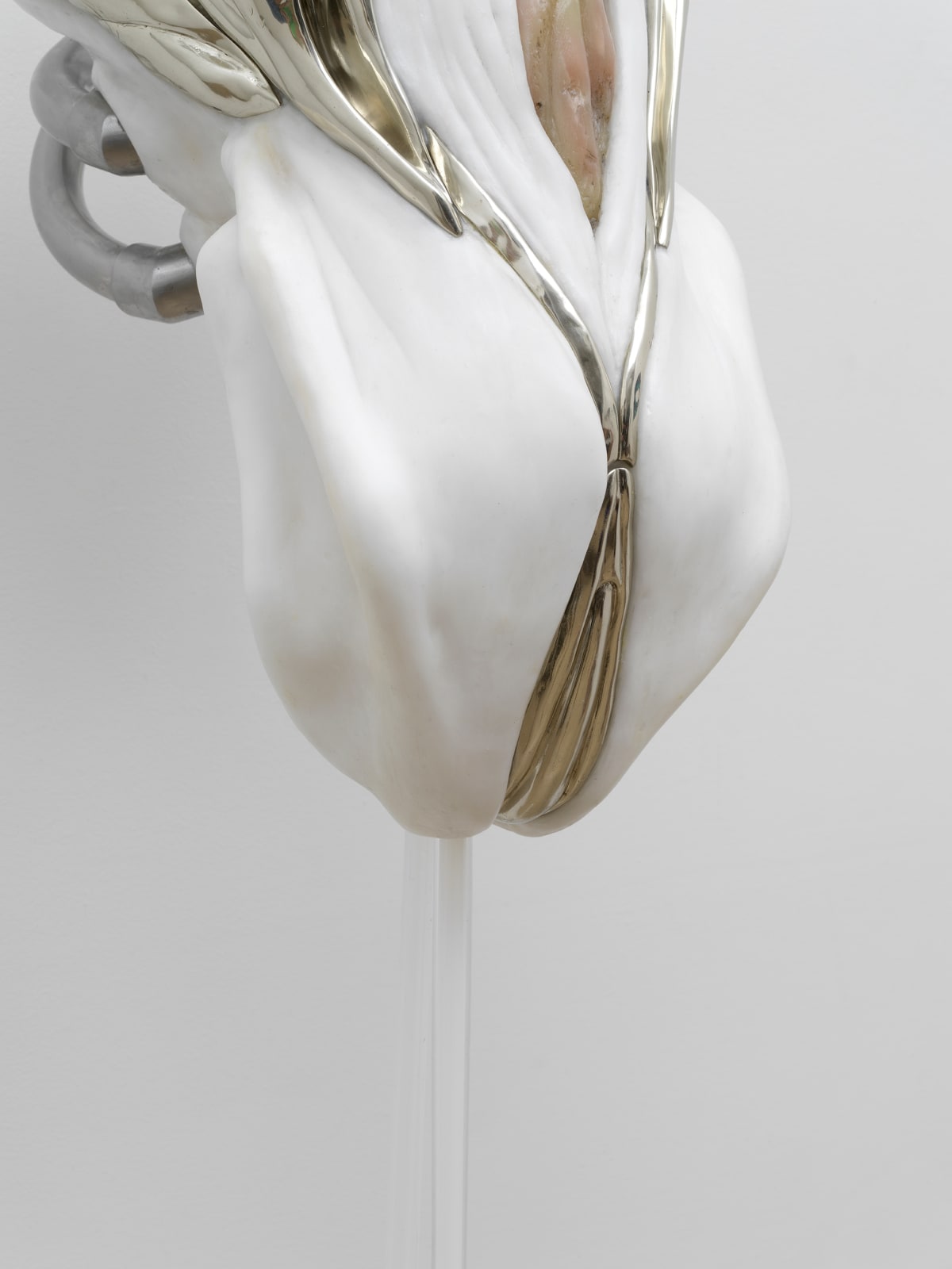 Ivana Bašić 伊凡娜·帕斯奇, Pneumatic Positions II: Blossoming 气动姿态II：绽放, 2023