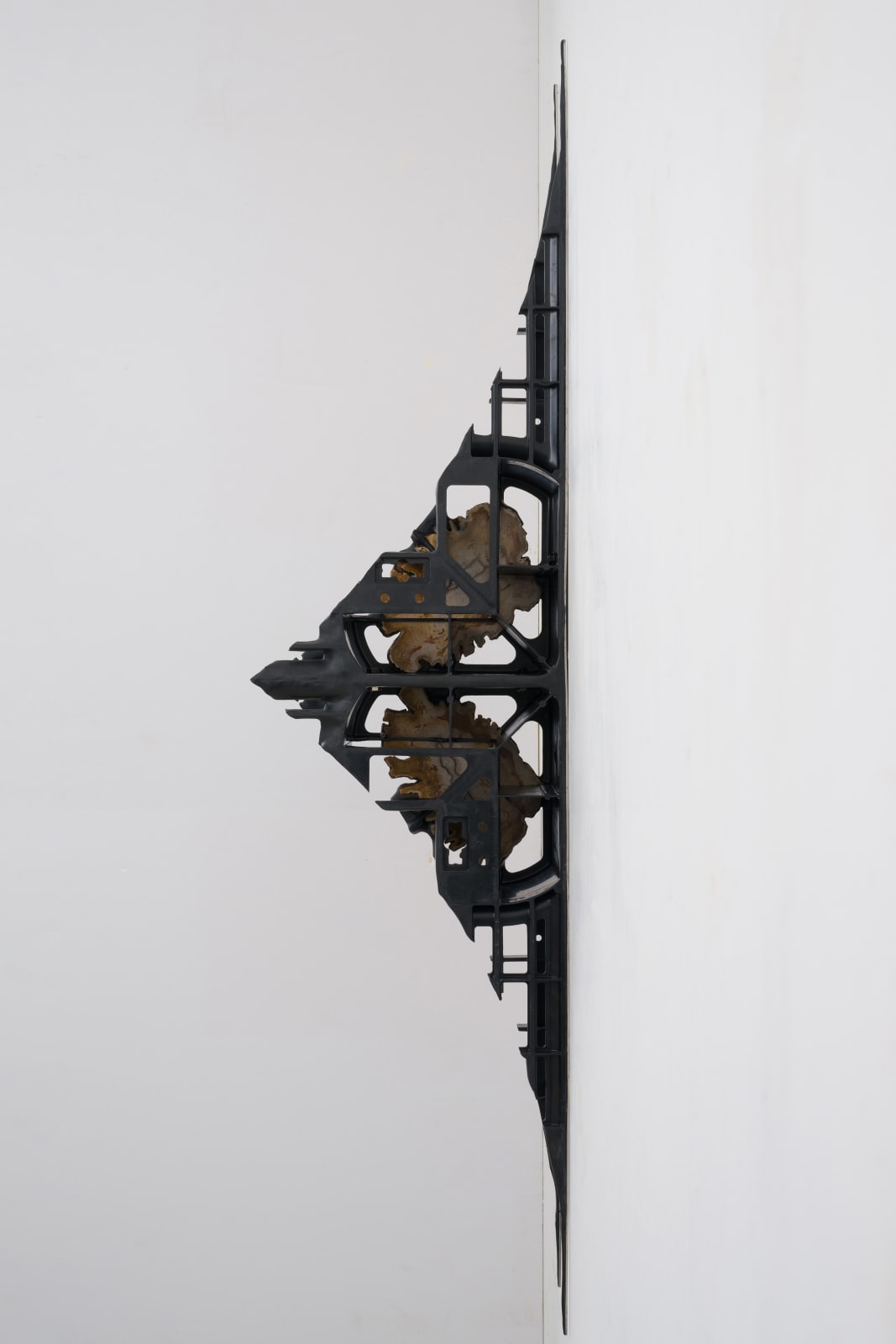 Leelee Chan 陳麗同, Moth 蛾, 2023