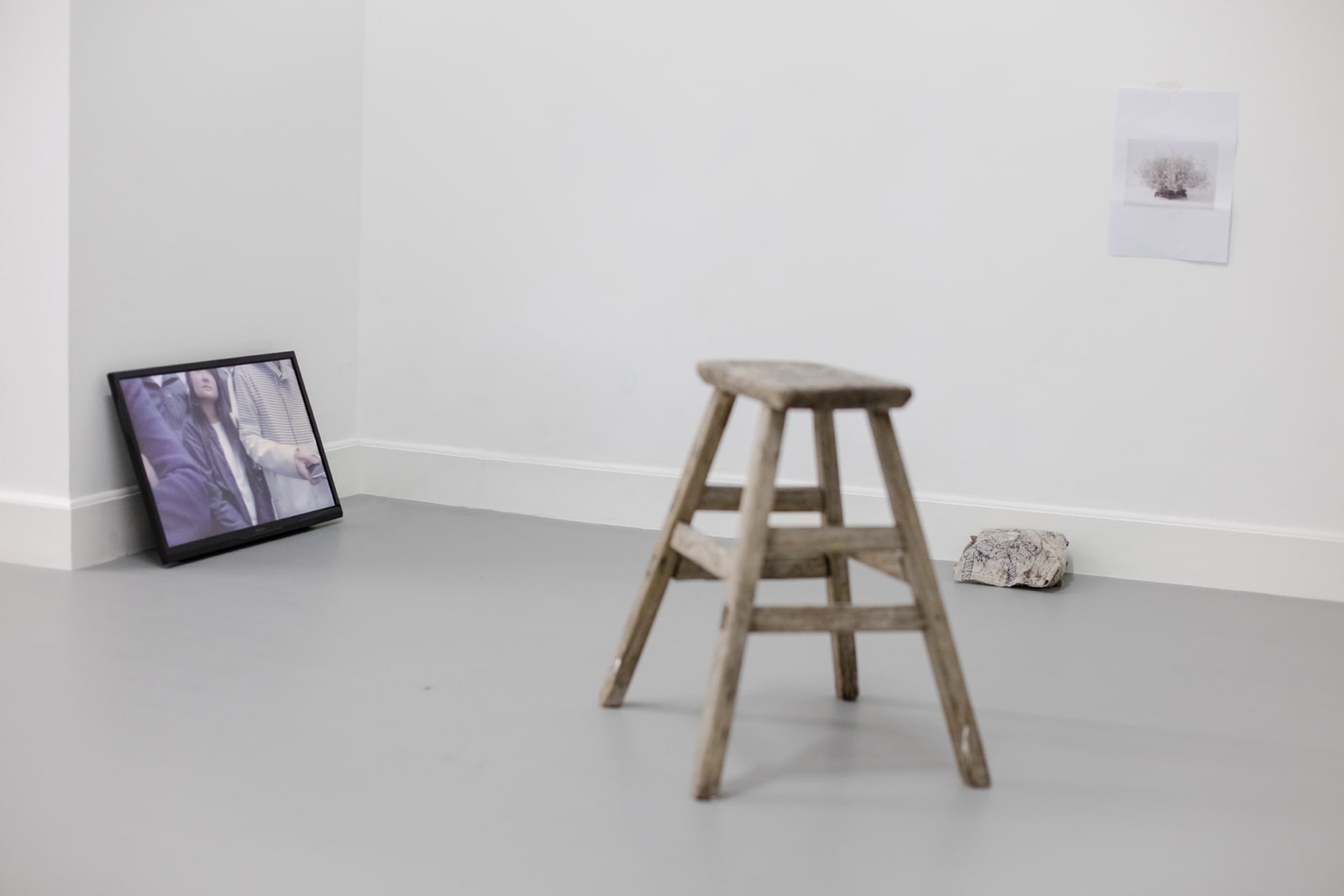 Ali Van 万振宇, Life and Death of a Plant, PLANTLIFE, Landschaft, Banana, Apple, Apple (1996), JUNGLERECORD, 2017