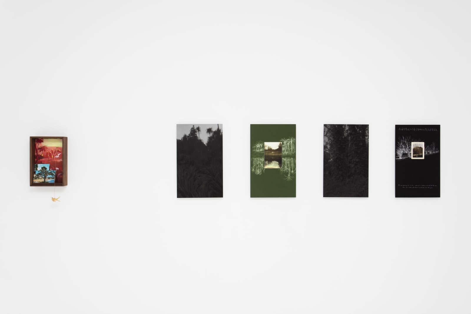 Chen Dandizi 陈丹笛子, "The South" "南方", 2016