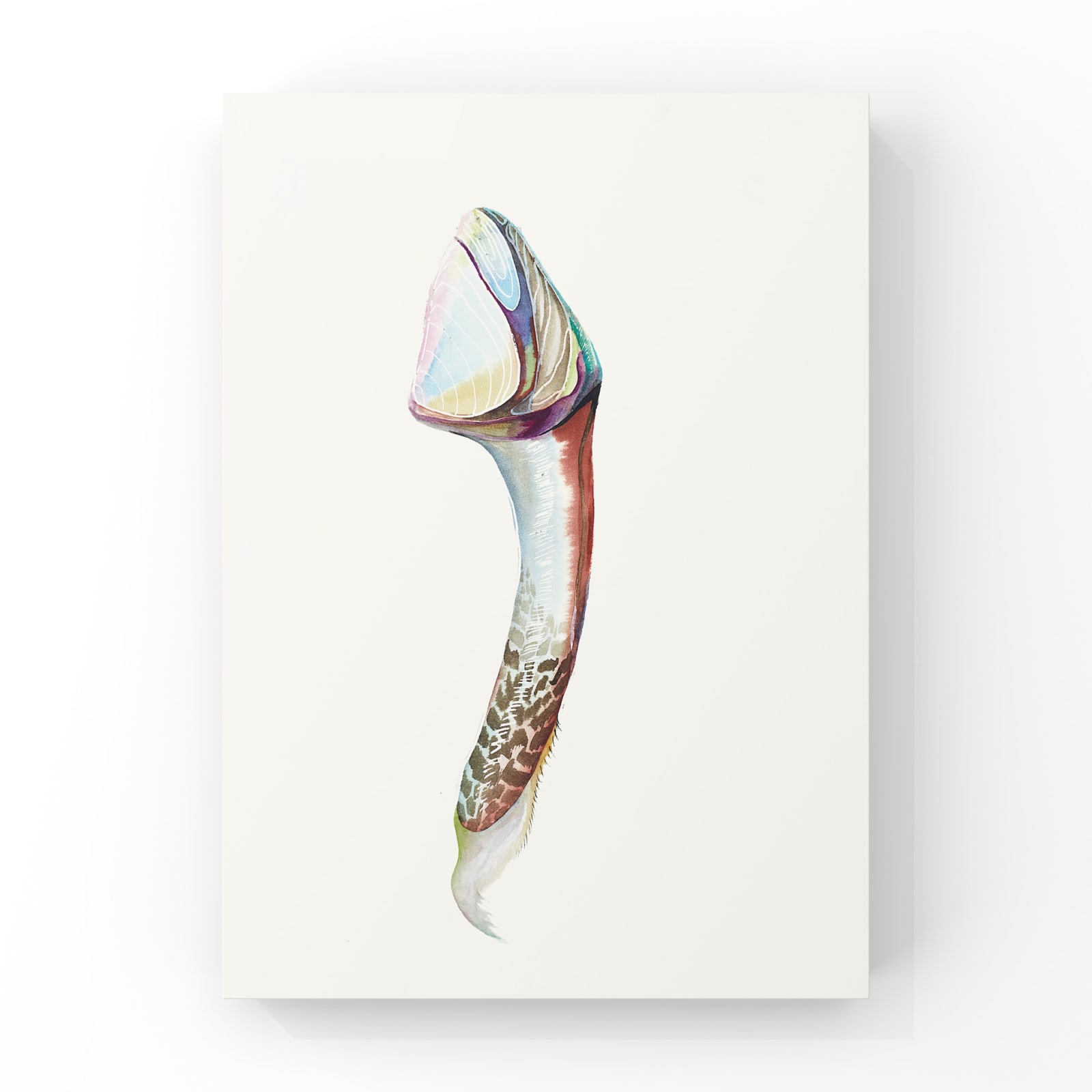 Wang Haiyang 王海洋, Untitled 无题, 2018