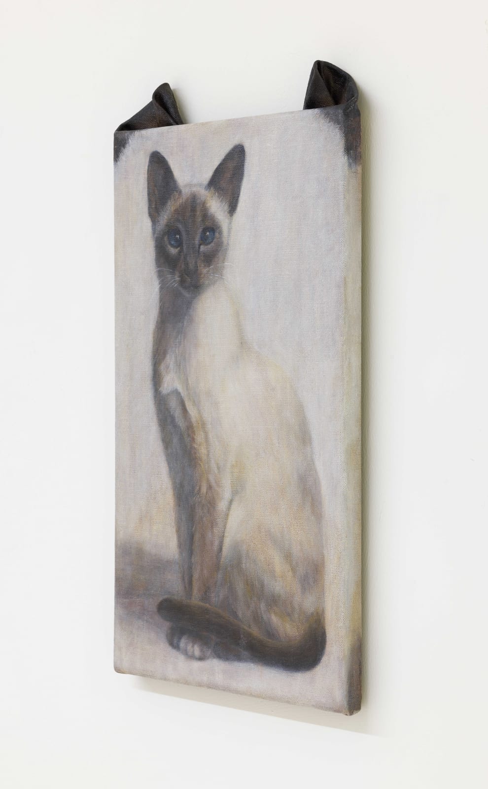 Ryosuke Kumakura 熊倉良介, Cat 猫, 2019