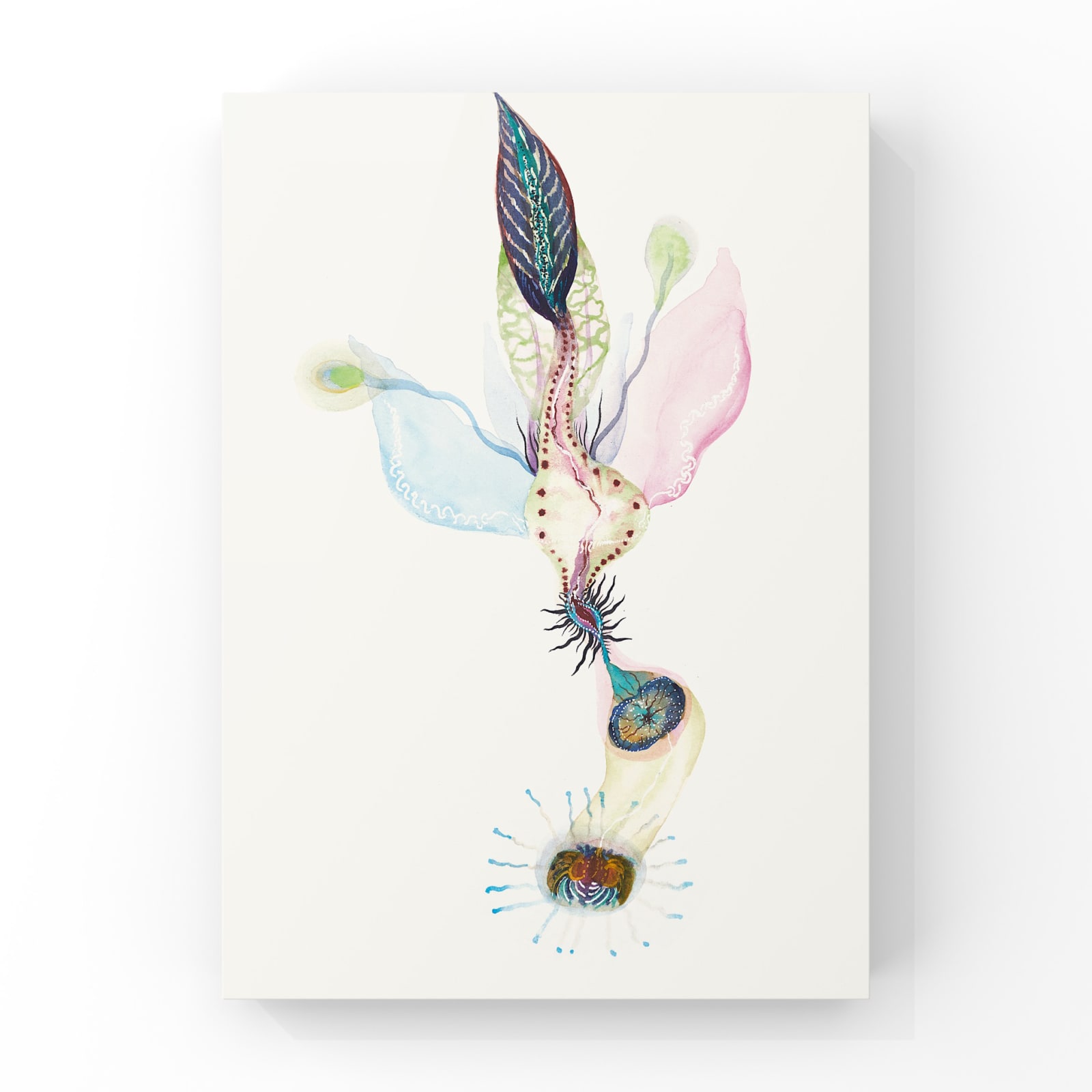 Wang Haiyang 王海洋, Untitled 无题, 2018