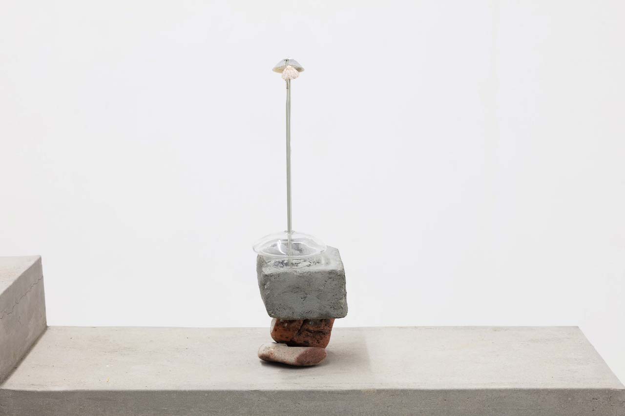 Leelee Chan 陳麗同, Transmitter 传送者, 2017