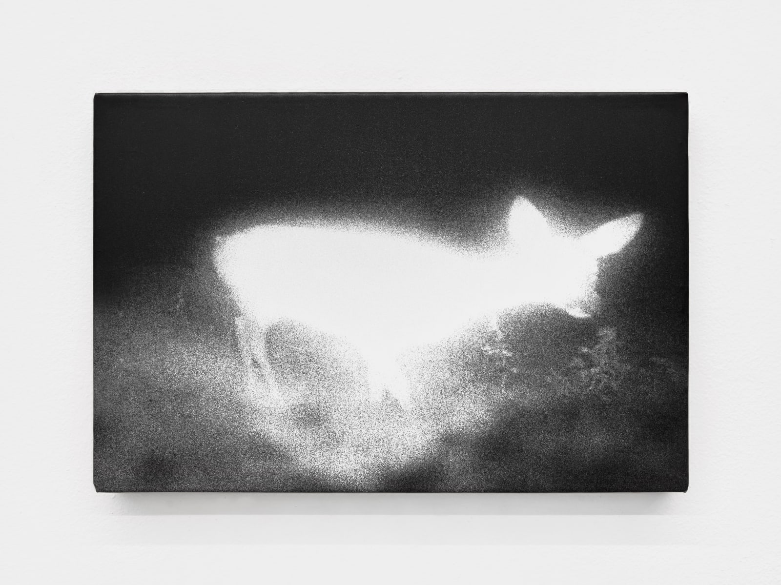 Luca Campestri 卢卡·坎佩斯特里, Trapped 困, 2025