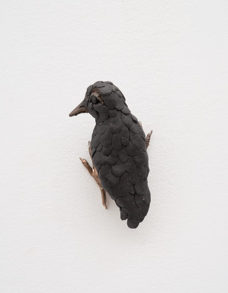 Elizabeth Jaeger 伊丽莎白·耶格, Bird 鸟, 2024
