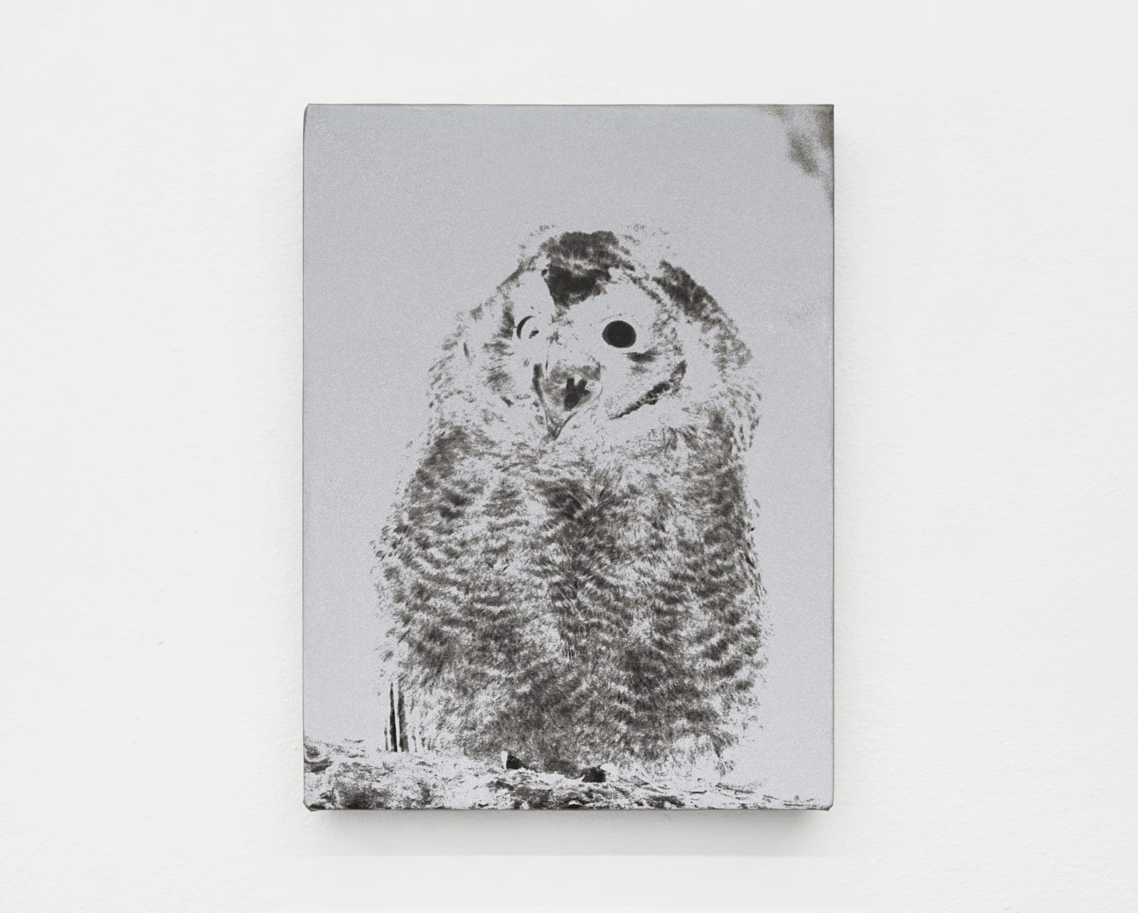 Luca Campestri 卢卡·坎佩斯特里, The dreamer slept but did not dream 梦者沉睡却未曾做梦, 2025