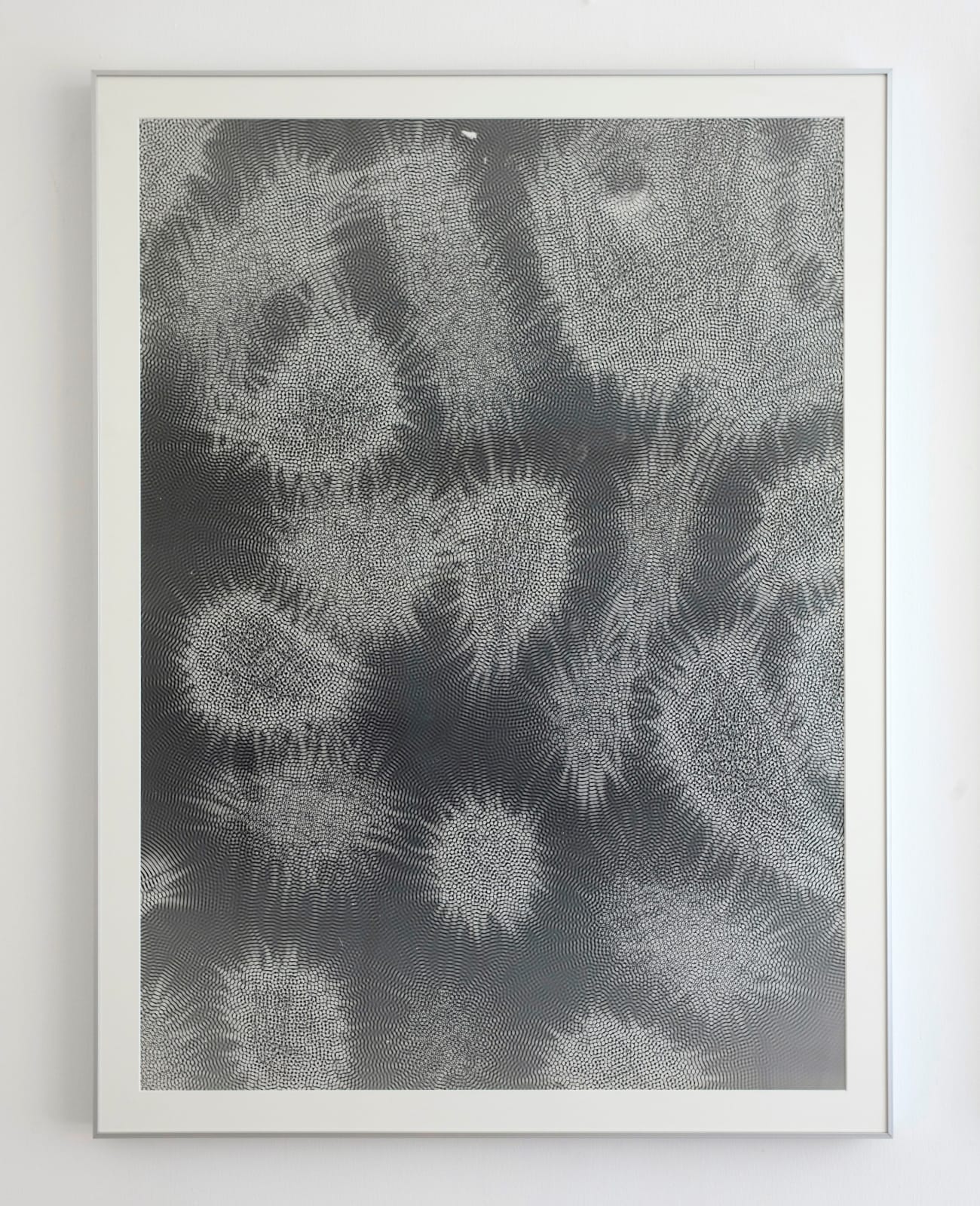 Feng Chen 冯晨, 48Hz 48赫兹, 2018