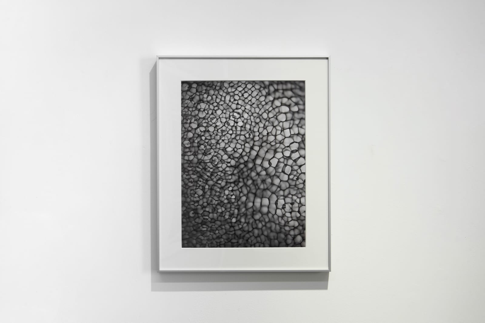 Feng Chen 冯晨, Between 20hz-30hz (05) 赫兹 20hz-30hz之间 (05), 2019