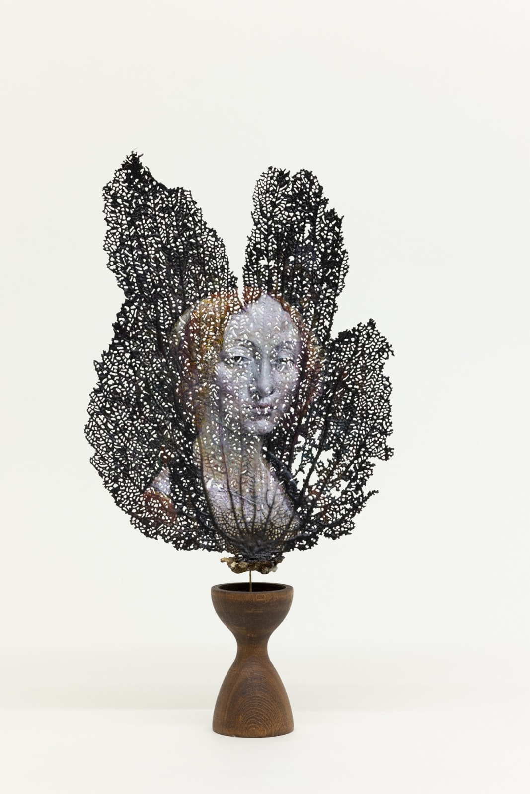 Chris Oh 克里斯·吴, Gorgon 戈耳工, 2023
