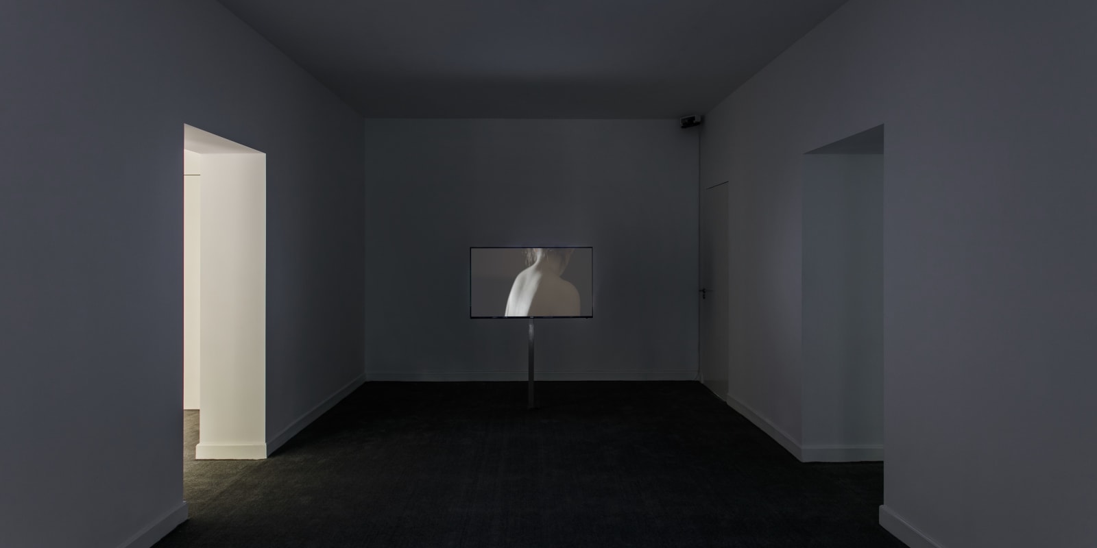 Feng Chen 冯晨, Convulsion 震颤, 2017