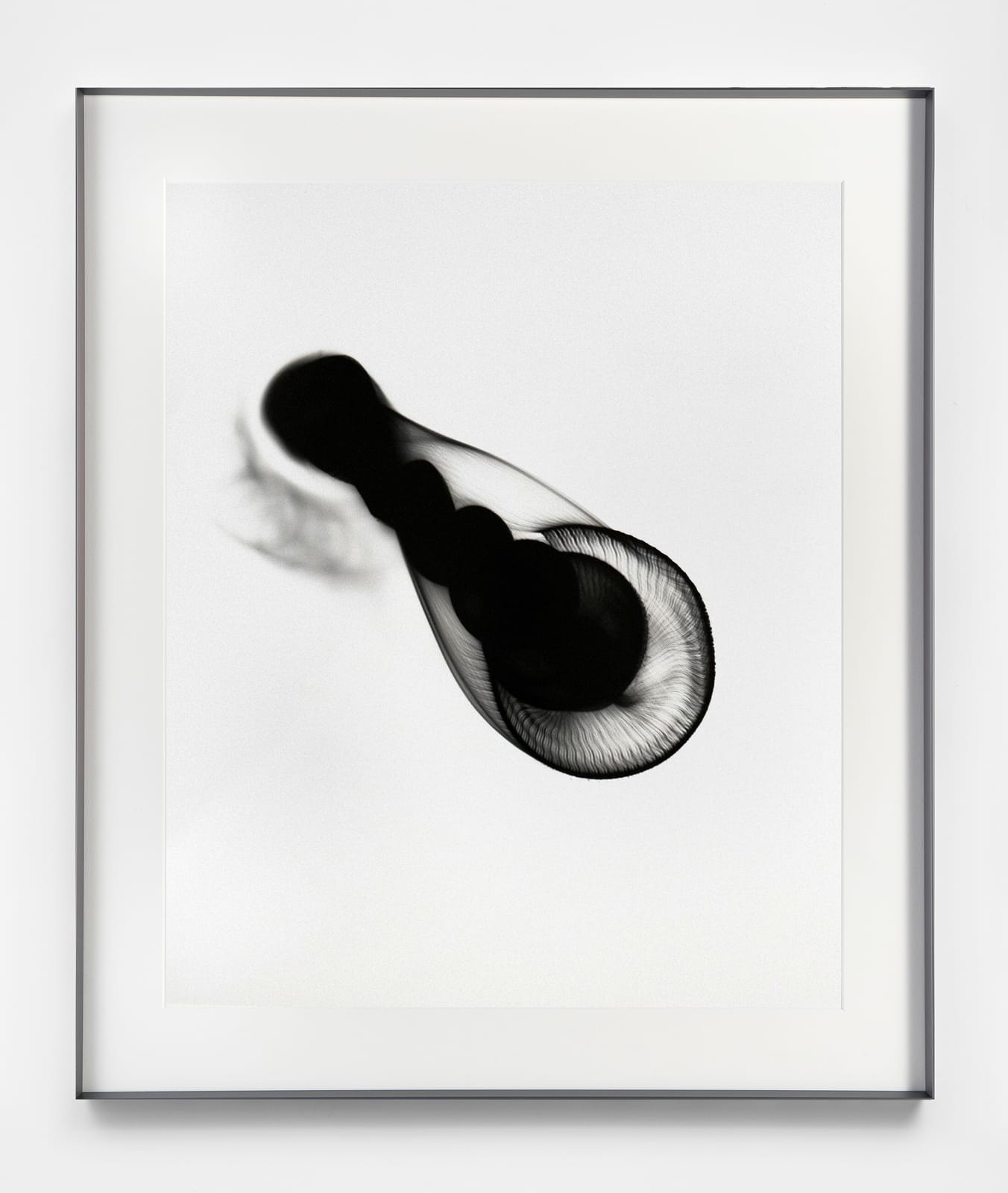 Feng Chen 冯晨, SN-13, 2020