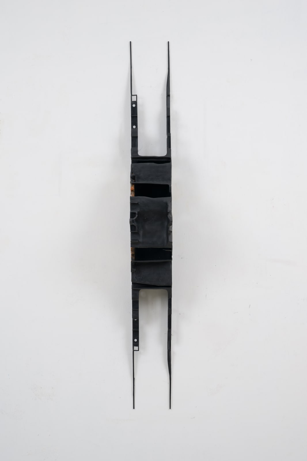 Leelee Chan 陳麗同, Moth 蛾, 2023