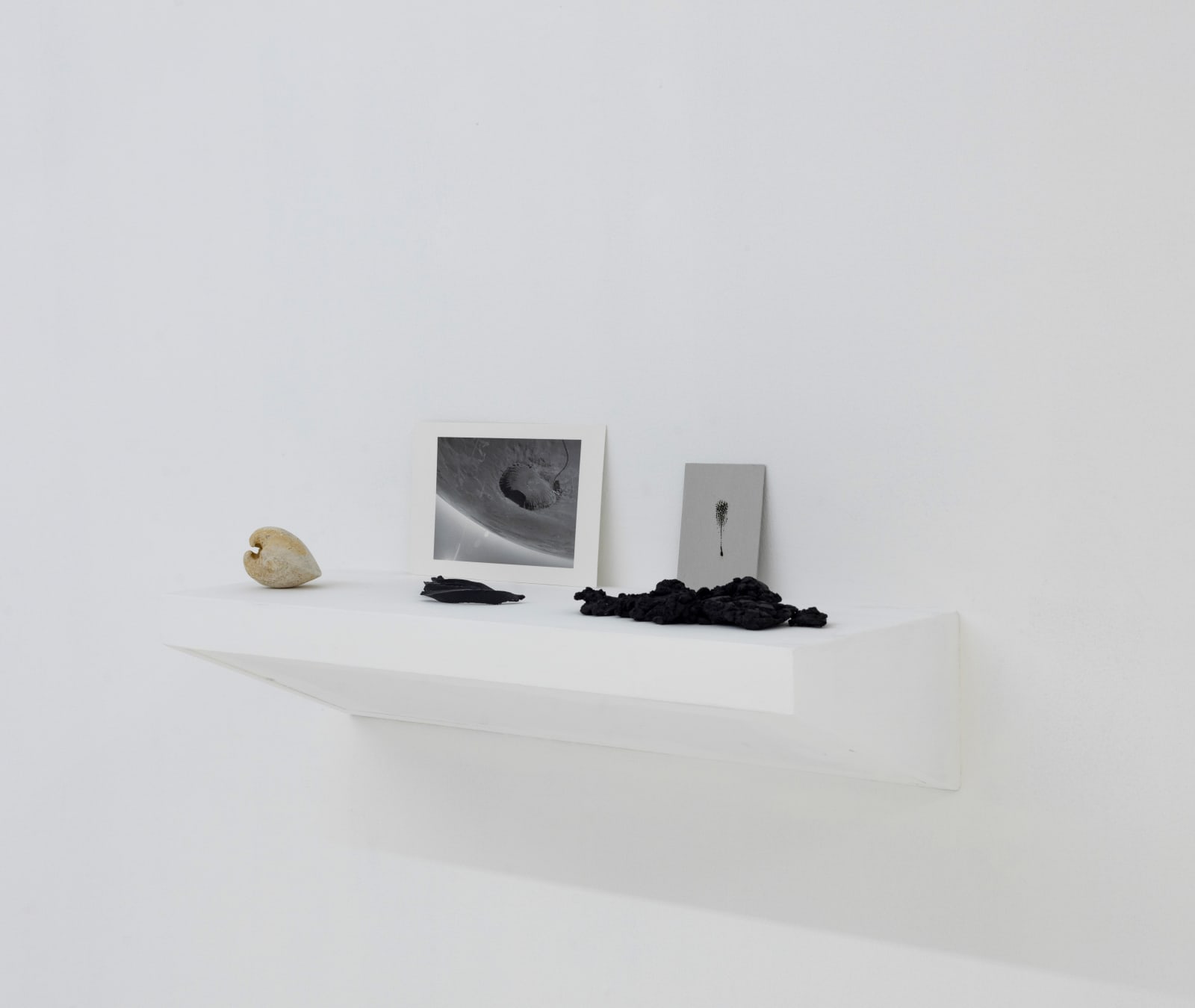 Alice Wang 王凝慧, All works: Untitled 无题 , 2015-2016