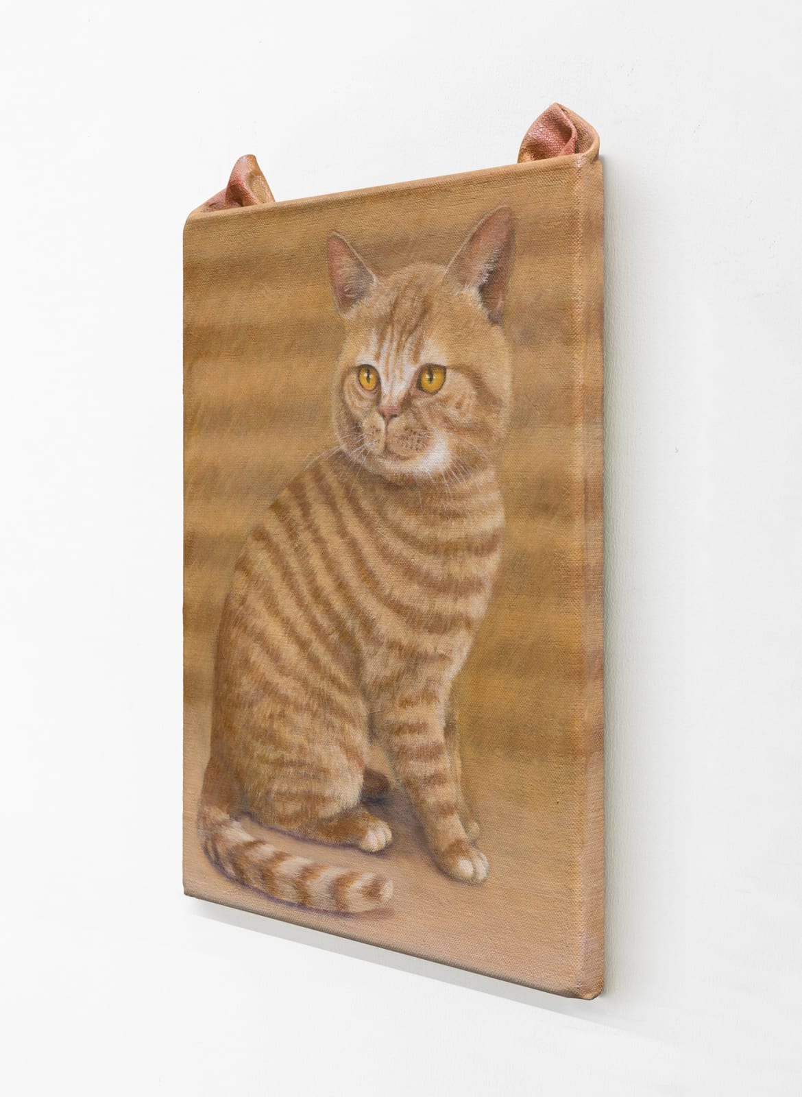 Ryosuke Kumakura 熊倉良介, Cat 猫, 2020