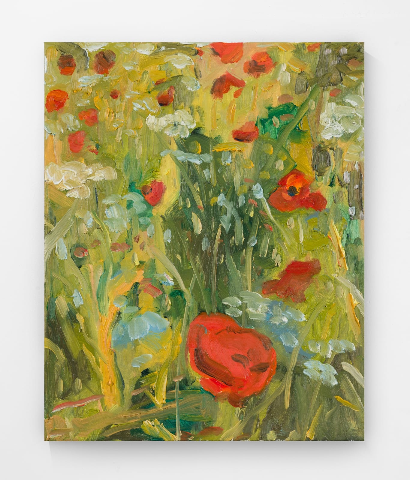 Tin Nguyen 阮信, Poppies 罂粟, 2022
