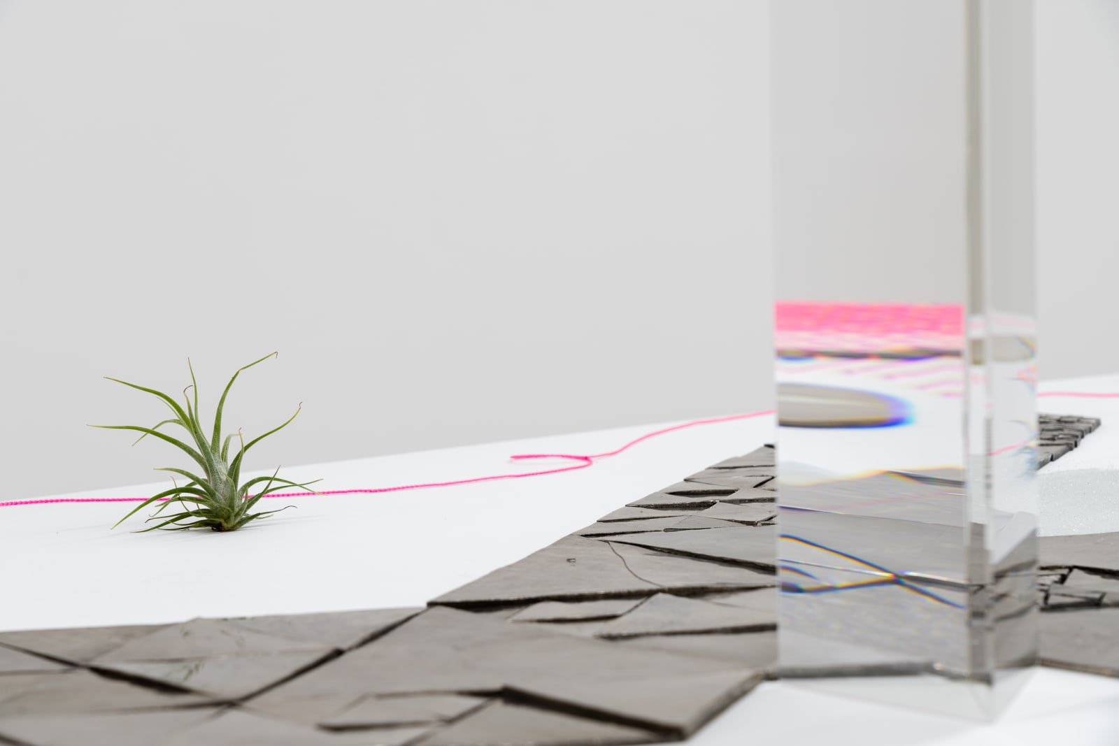 Alice Wang 王凝慧, Untitled 无题, 2021