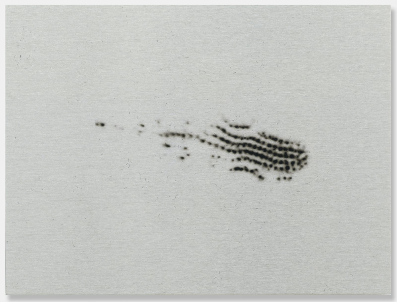 Alice Wang 王凝慧, Untitled 无题, 2014