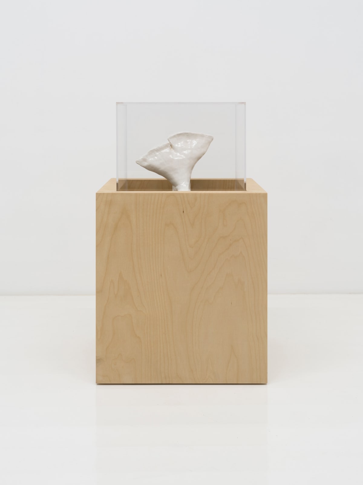 Miranda Fengyuan Zhang 张丰渊, FF008, 2025