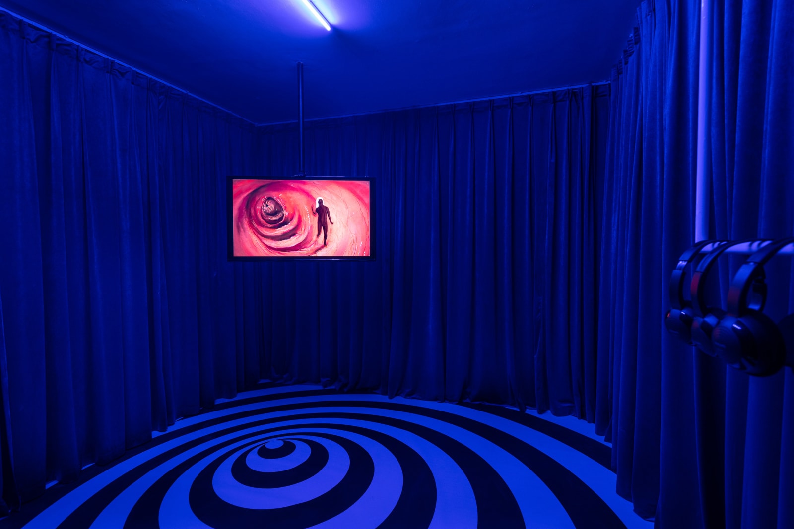 Wang Haiyang 王海洋, Party in the Anus, 2018