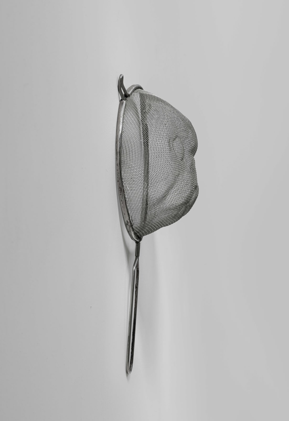 Tian Jianxin 田建新, Feline Filtration 猫滤, 2021