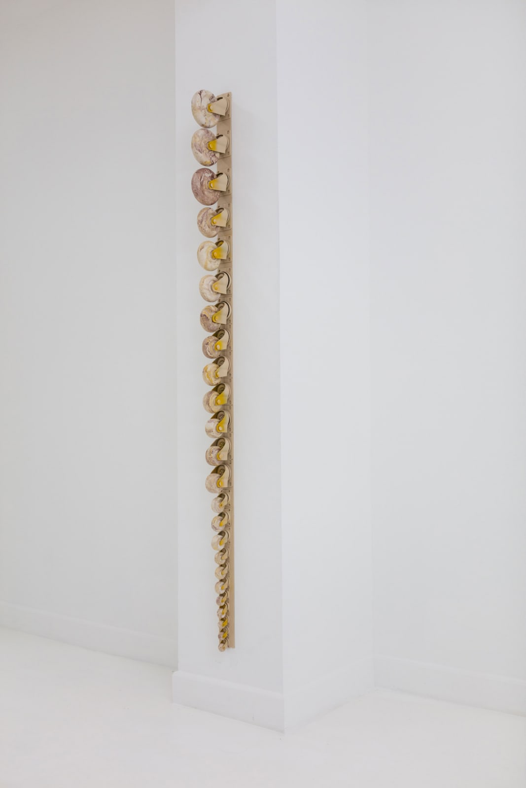Leelee Chan 陳麗同, Spine 脊, 2019