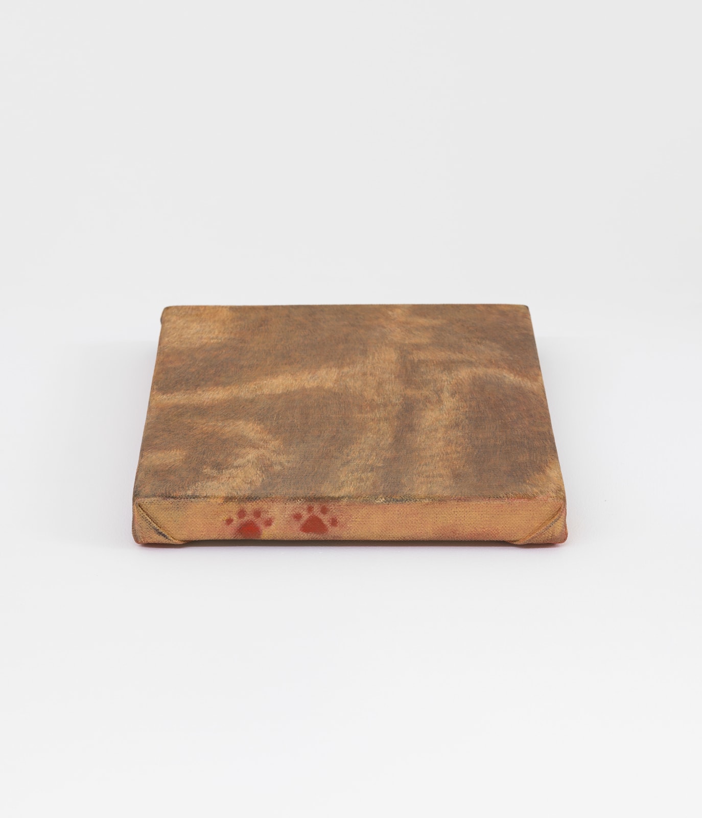 Ryosuke Kumakura 熊倉良介, Fur 皮毛, 2019
