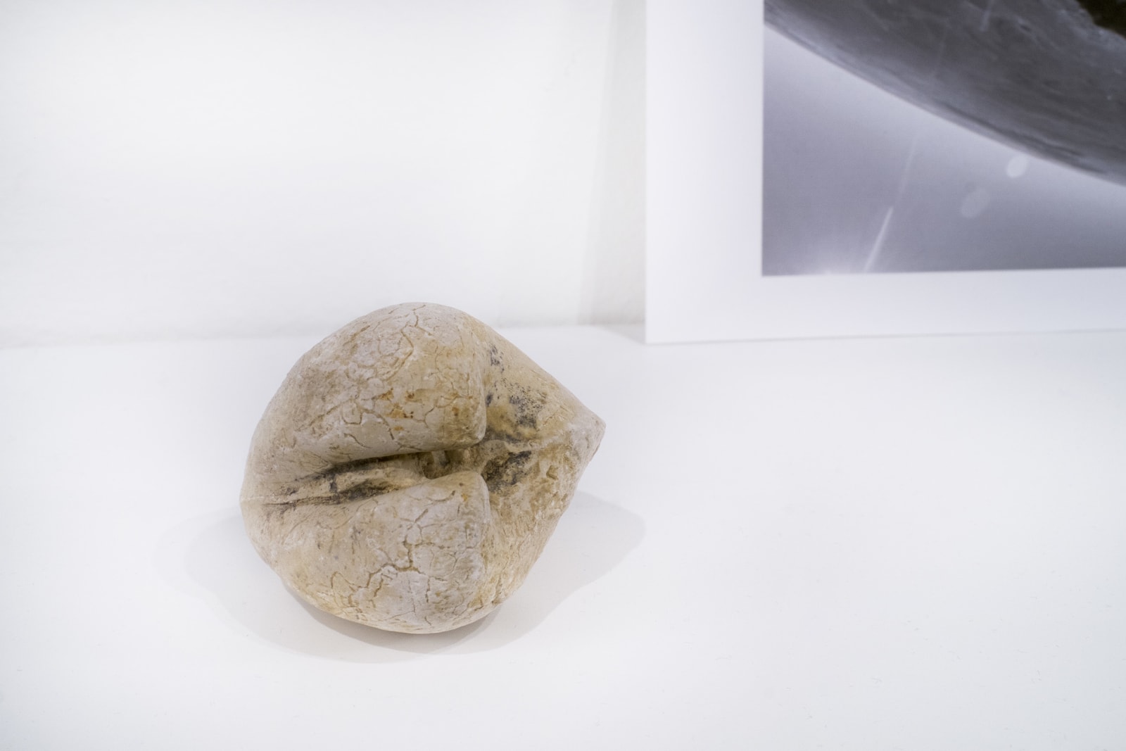 Alice Wang 王凝慧, All works: Untitled 无题 , 2015-2016